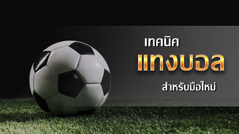 แทงบอลออนไลน์